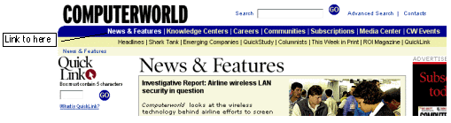 Computerworld.com Example of Web Blooper